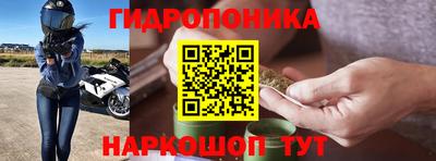 ECSTASY Лесосибирск